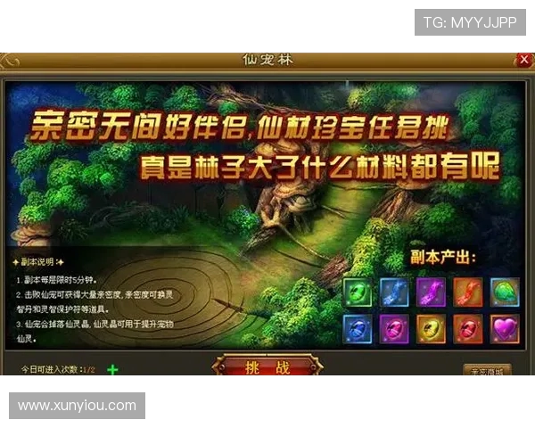 杨敏深度解析DOTA2游戏策略与技巧分享，助你提升战斗水平